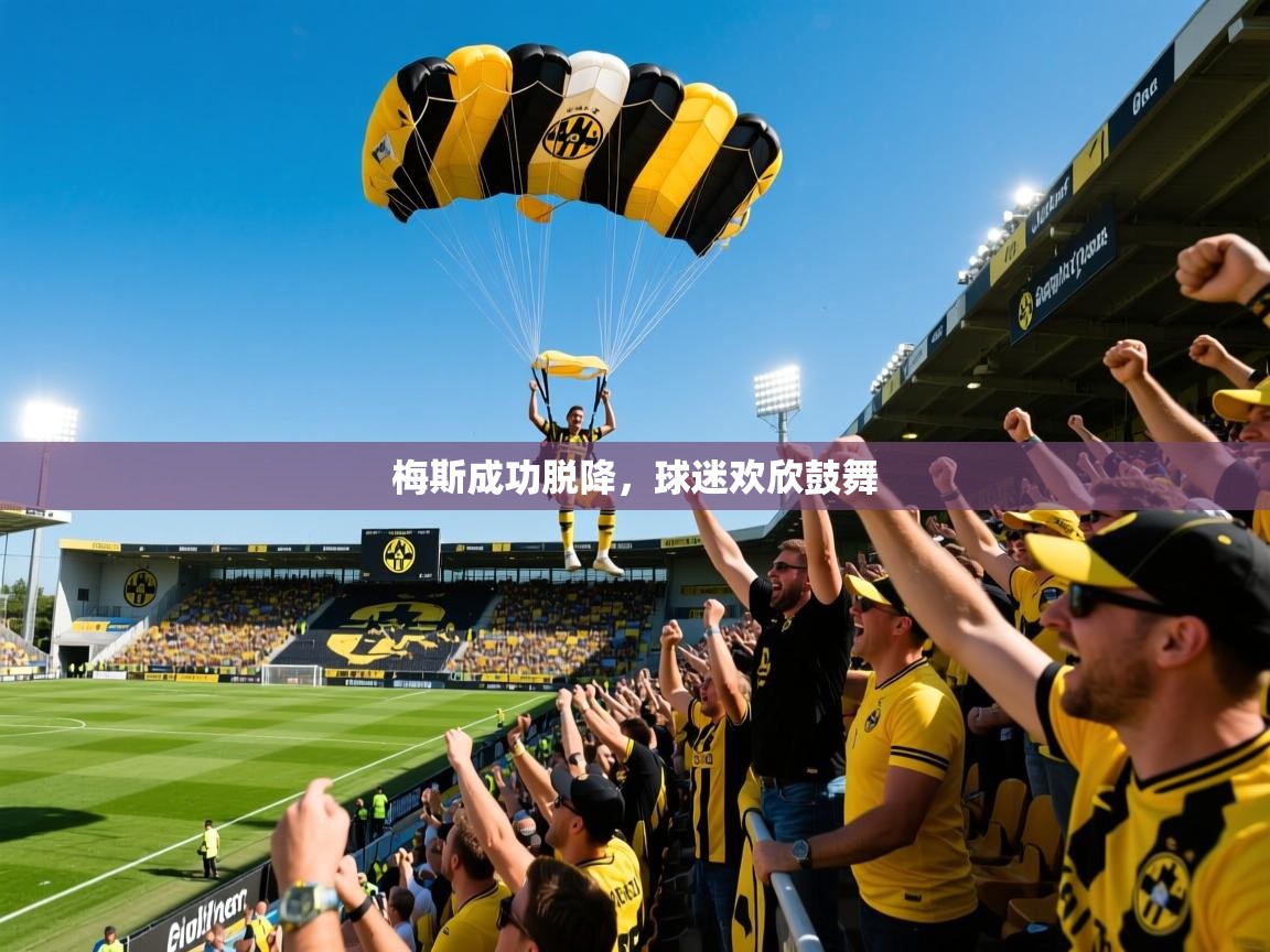 2026安博体育官网登录入口梅斯成功脱降，球迷欢欣鼓舞  第3张