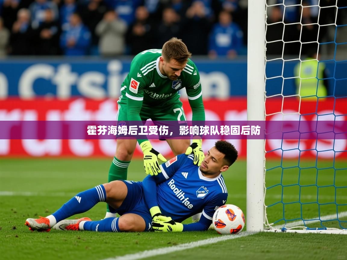 2026安博体育娱乐霍芬海姆后卫受伤，影响球队稳固后防  第2张