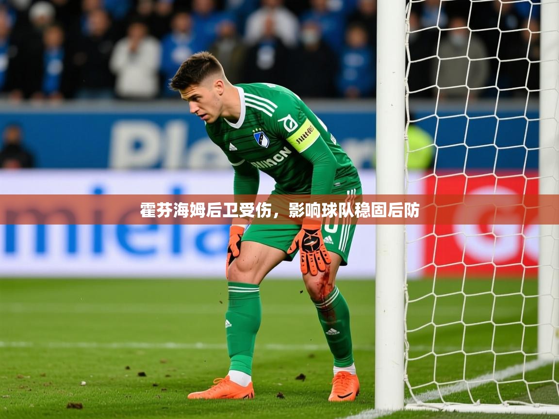 2026安博体育娱乐霍芬海姆后卫受伤，影响球队稳固后防  第1张